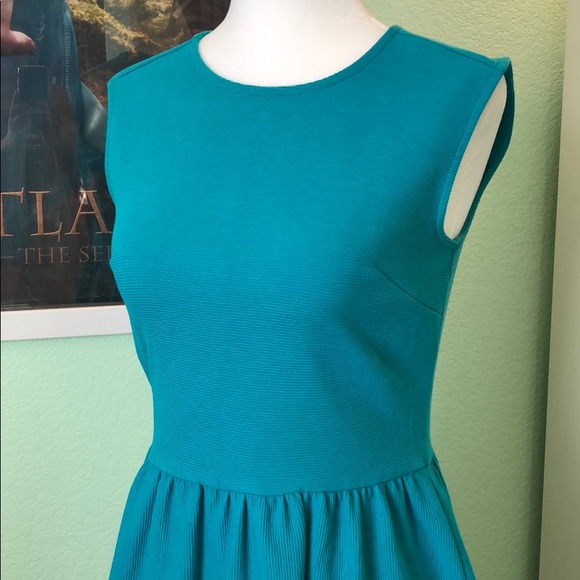 Loft Fit and Flare Sleeveless Dress - Picture 2 of 8